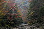 Cumberland Trail - by Will